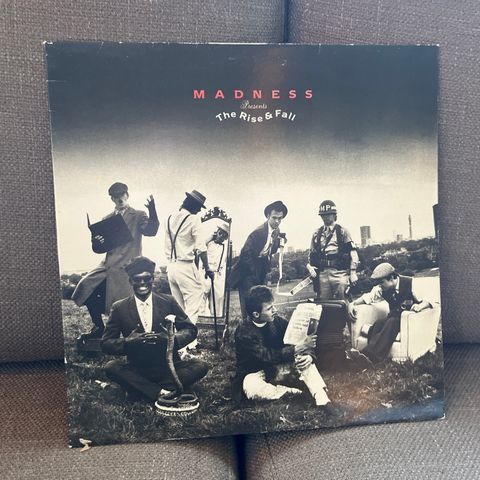 Madness – The Rise & Fall