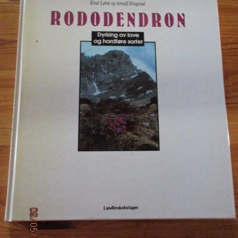 Rododendron - dyrking av lave og hardføre sorter