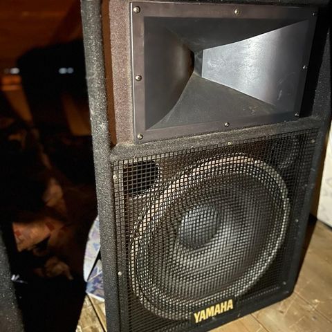 Yamaha Speaker System model S115 IV