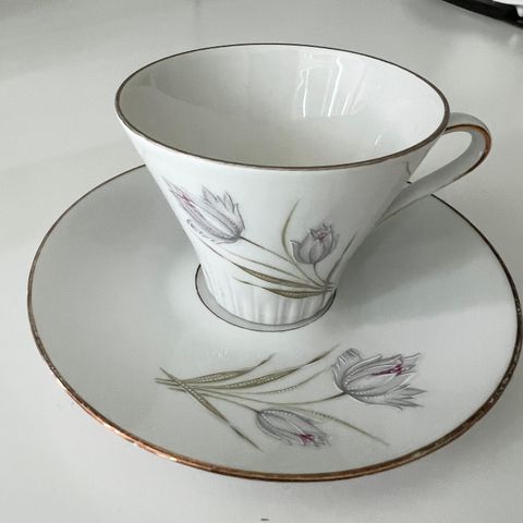 Zeh Scherzer Bavaria Germany Porcelain Tea Cup Saucer sett Kopp