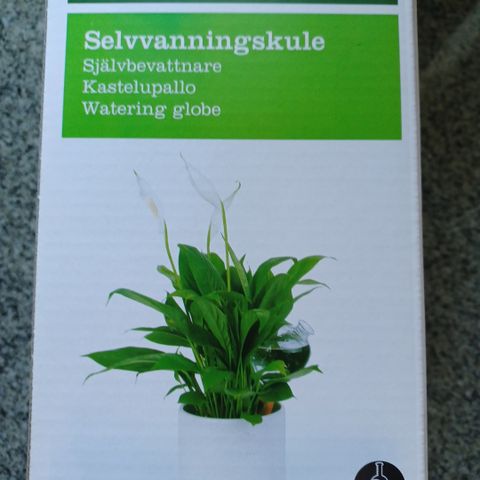 Selvvanningskule