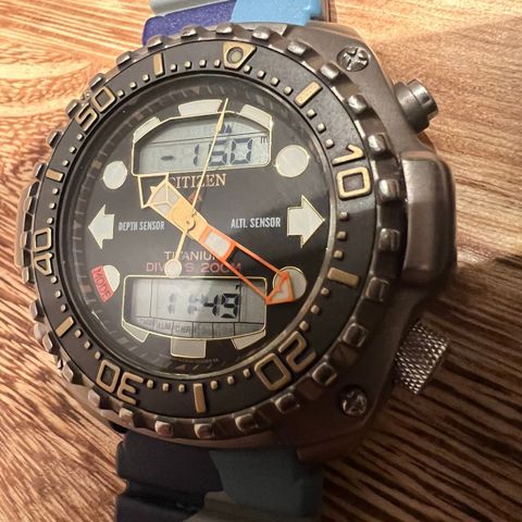 Citizen Promaster Titan