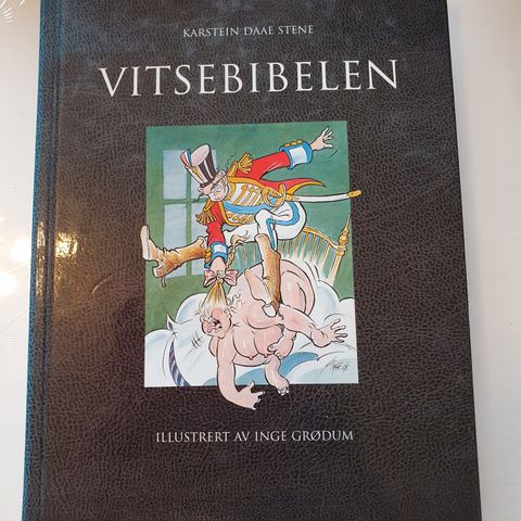 Vitsebibelen. Karstein Daae Stene