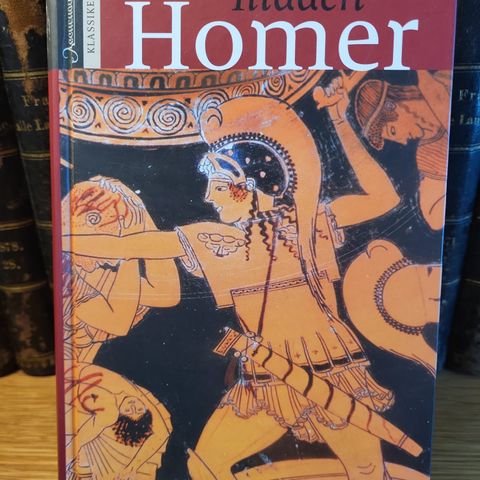 Homer: Illiaden