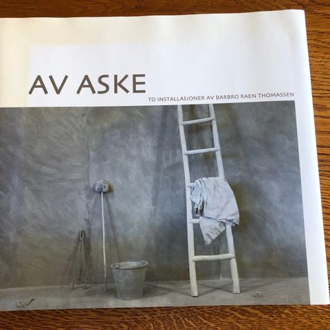 Bok «Av aske»