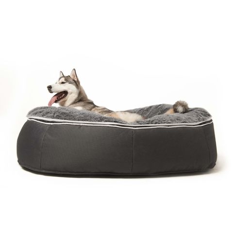 Ambient Lounge Supernova Gray Wolf - En helt perfekt hundeseng i Lillehammer!