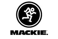 Mackie 18" sub