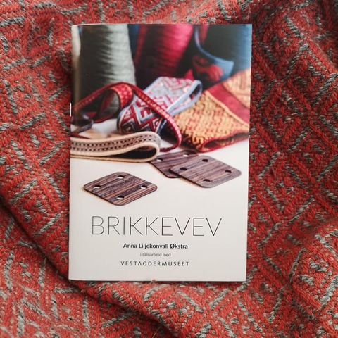 Nybegynnerhefte om brikkevev