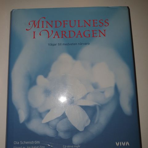 Mindfulness i vardagen. Ola Schenström