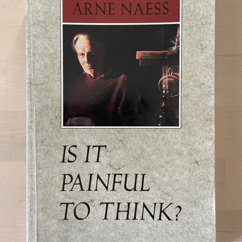 David Rothenberg «Conversations with Arne Naess ‘Is it painful to think?’»