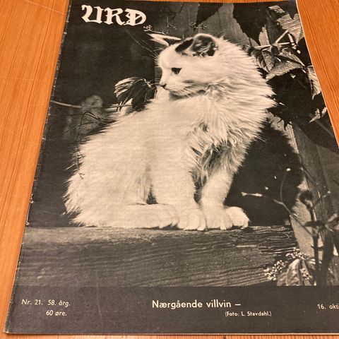 URD Nr. 21 - 1954 - DRØBAK FØDEHJEM OG SYKESTUE, ARTIKKEL MED 5 BILDER