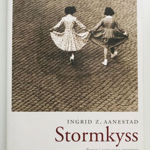 Bok Book - Stormkyss roman - Aanestad, Ingrid Z.