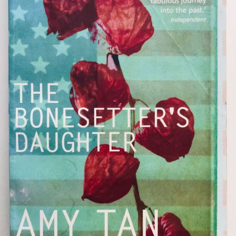 Bok Book - The bonesetter's daughter - Amy Tan