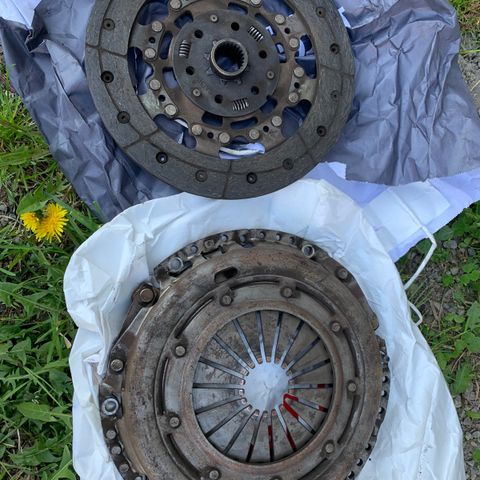 Ford Focus Clutch