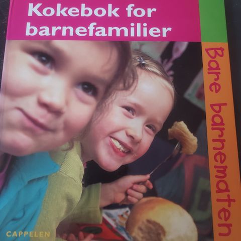 "Kokebok for barnefamilier" av Lise Galaasen