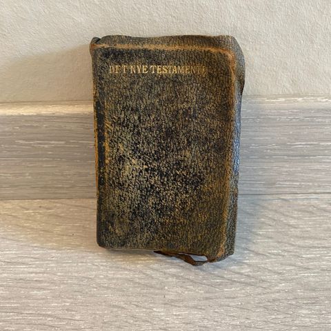 Det nye testamentet 1920