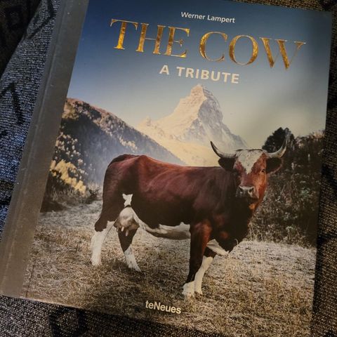 The cow bok om ku