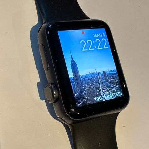 Apple Watch Series 3 - 42 mm