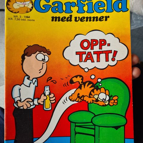 5 stk garfield