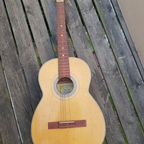 Suzuki no 12 gitar