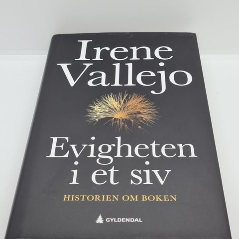 Evigheten i et siv - Irene Vallejo