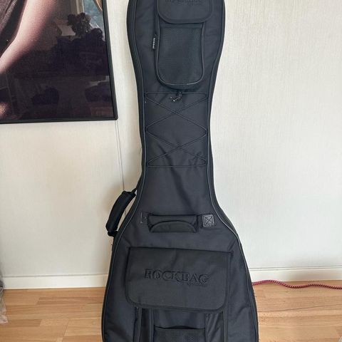 Professional Electric Bass Guitar Gig Bag