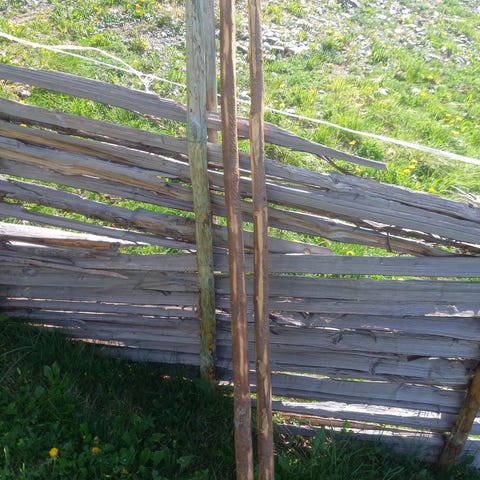 Annonsebilde