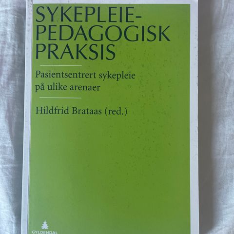 Sykepleiepedagogisk praksis