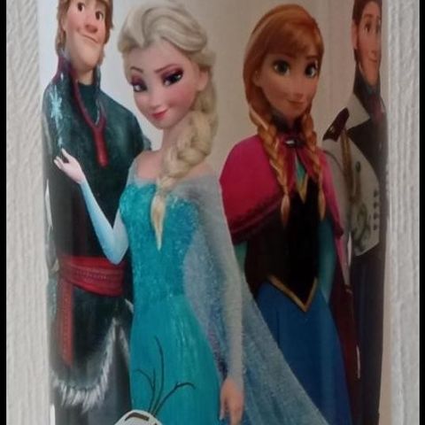 Frozen (Anna & Elsa) 0.5L termos for 100kr