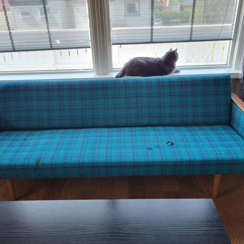 Retro sovesofa