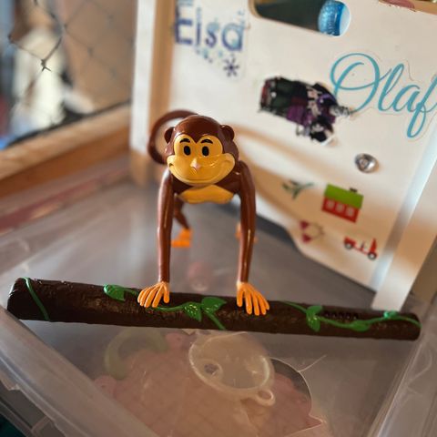 Gjem og søk Safari Monkey