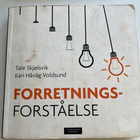 Forretnings forståelse