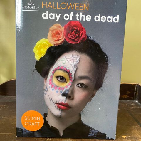 DIY - Kit fra Panduro - Day of the Dead