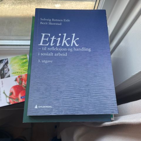 Etikk - til refleksjon og handling i sosialt arbeid (3. utg.)