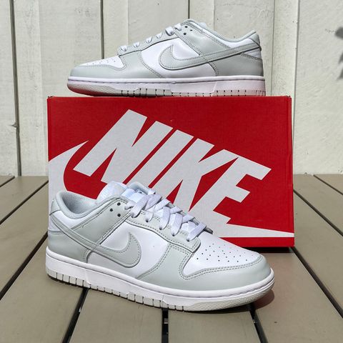 Nike Dunk Low Photon Dust (42)