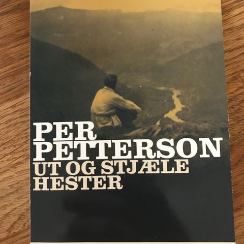 Ut og stjæle hester av Per Petterson