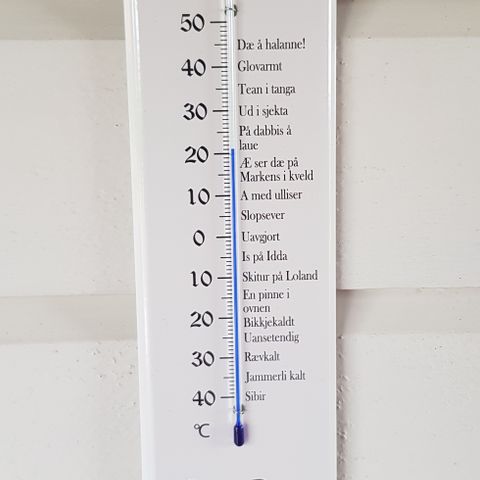 Dialekt Temperatur måler WV Emaljert