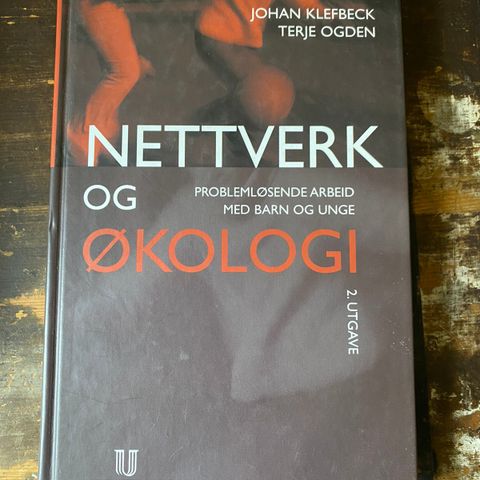 Nettverk og Økologi - Problemløsende arbeid med barn og unge