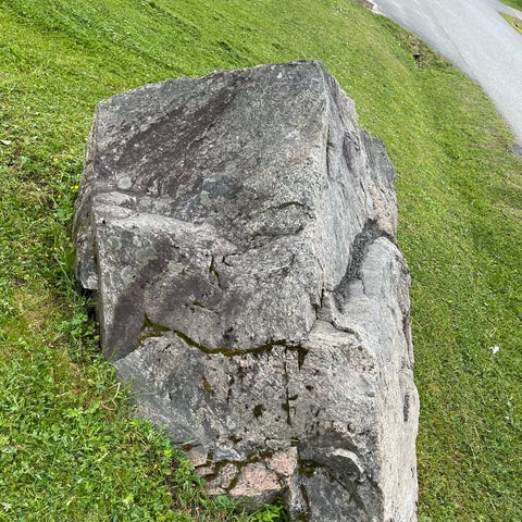 Annonsebilde