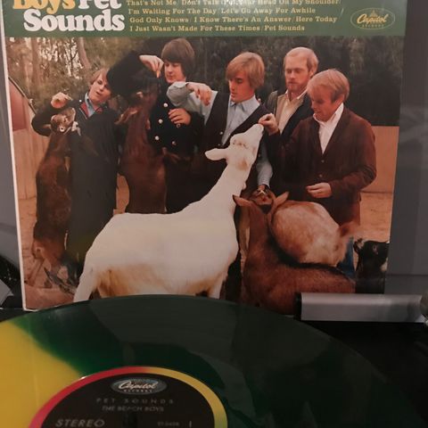 Beach Boys - "Pet Sounds" - gul/grønn vinyl