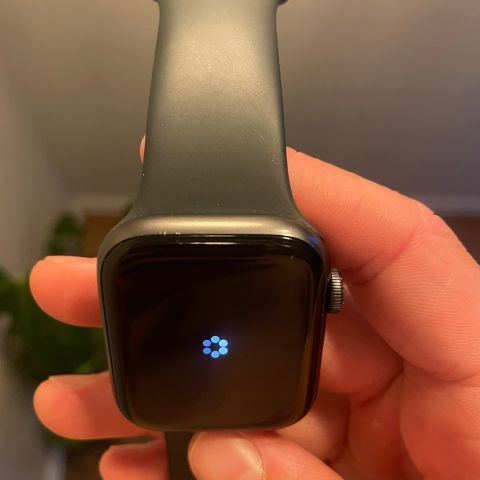 Pent brukt Apple Watch SE 44mm (1. Generasjon)