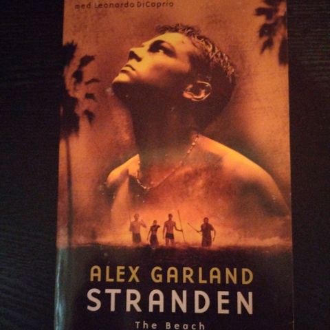 Alex Garland, Stranden