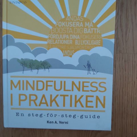 Mindfulness i praktiken Ken A. Verni  (på svensk)