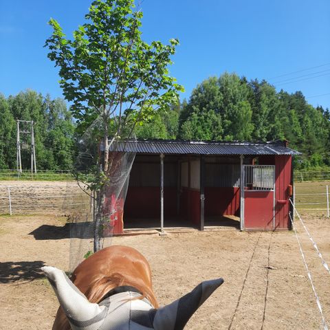Annonsebilde