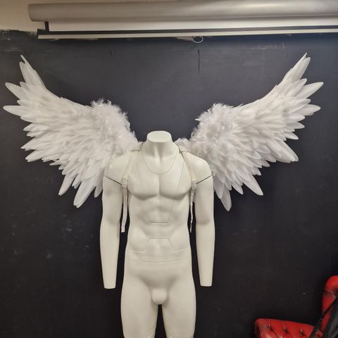 180cm meter Angel Wings