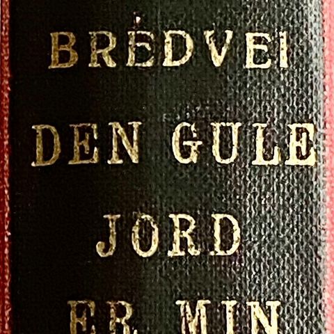 P. A. Bredevei: "Den gule jord er min". MIsjonæren fra Tjølling