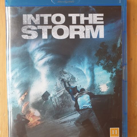 Into the storm