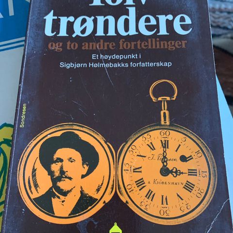 Sigbjørn Hølmebakk sin bok Tolv Trøndere til salgs.