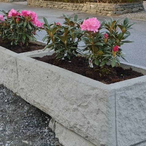 Blomsterkasse i betong