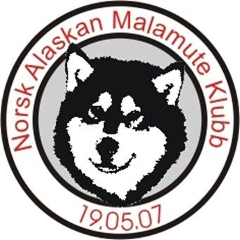 Alaskan Malamute valper